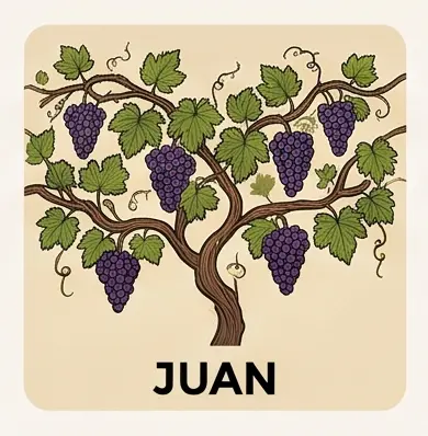 4 Juan.png